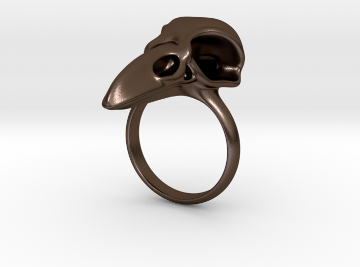 C. corax: skull 3d printed