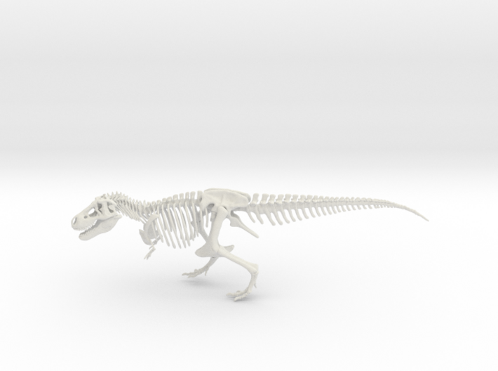 Dinosaur Tyrannosaurus rex Skeleton 3d printed