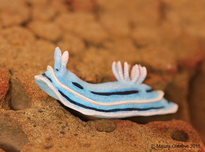 Lani the Nudibranch 3d printed Hand Painted White Strong &amp; Flexible Polished