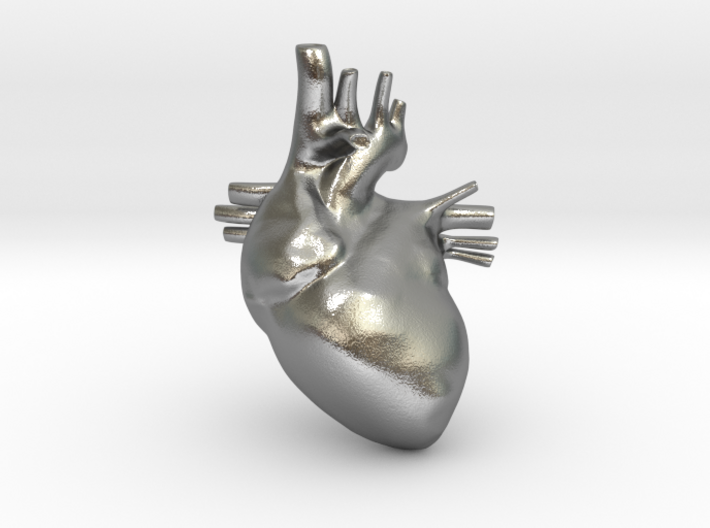 Anatomical Heart Hanger Pendant 3d printed
