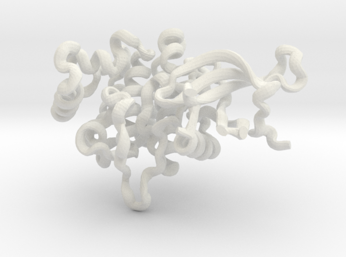 JAK1 Kinase Domain with inhibitor (pdb id 4K6Z) 3d printed