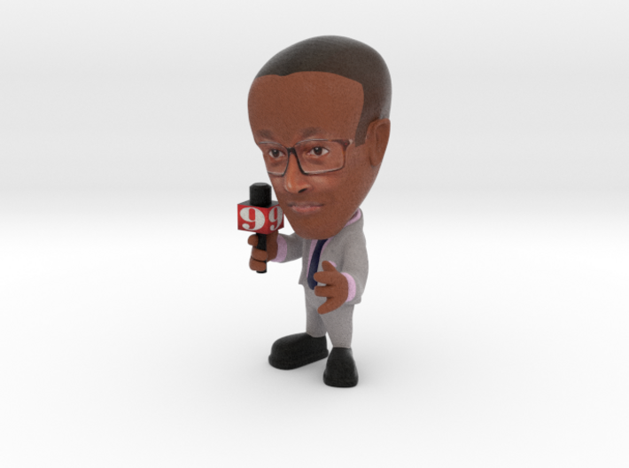 Mario ch 9 Orlando news reporter - not Hat 3d printed