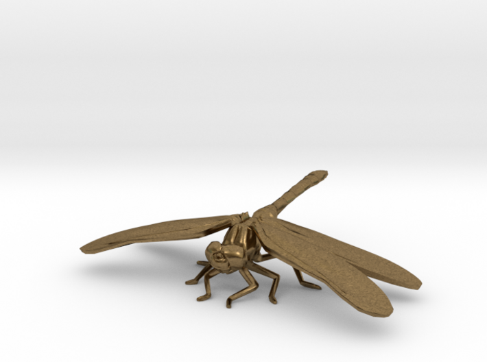 Dragonfly 3d printed