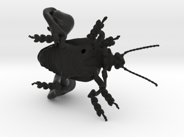Frog-legged leaf beetle 3d printed