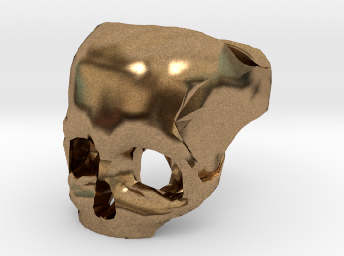Brass Skull Ring by Bits to Atoms 3d printed