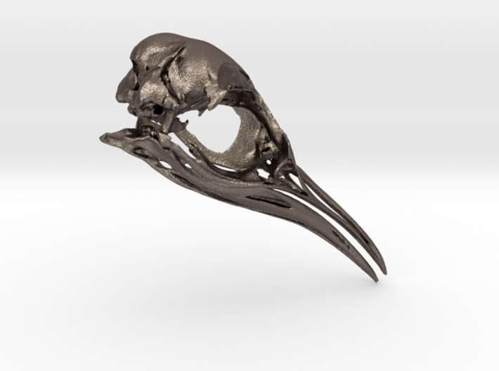 Aptenodytes Adult - Penguin Skull 3d printed