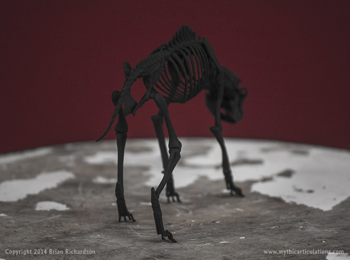 Black Shuck Skeleton 3d printed 