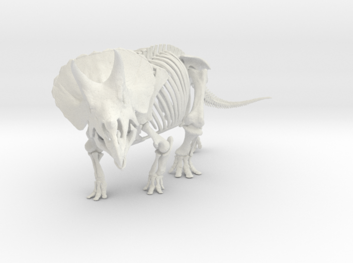 Triceratops horridus skeleton 1:40 scale 3d printed