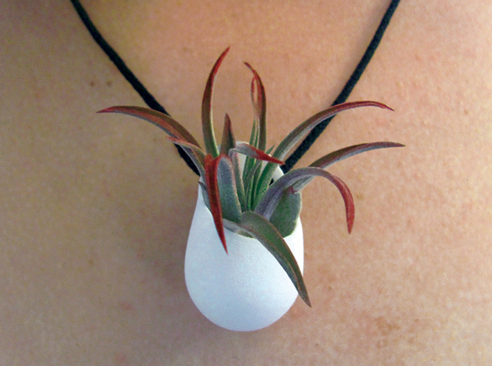 Planter Necklace Pendant 3d printed