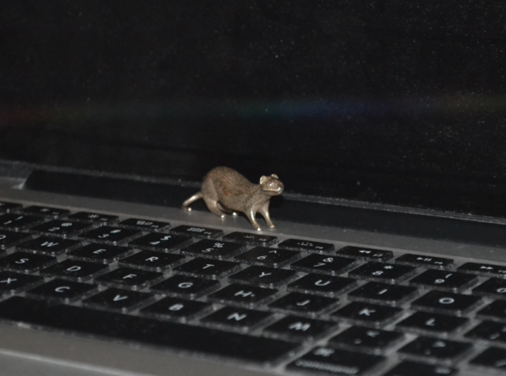 The Weasel Desk Toy 3d printed 