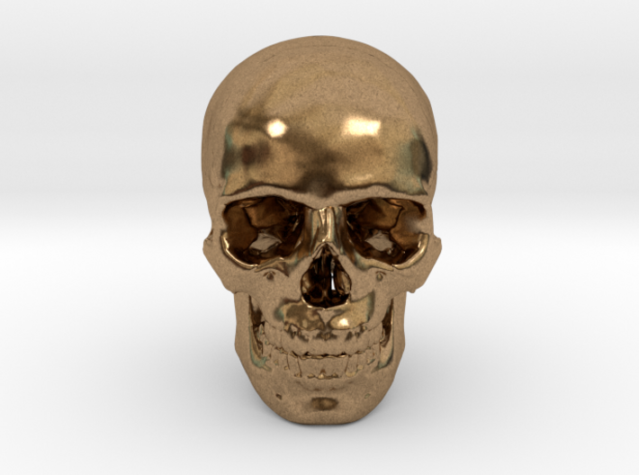 25mm 1in Human Skull Crane Schädel че́реп 3d printed