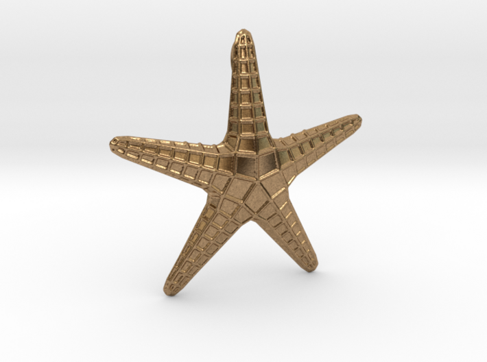 Starfish Pendant 3d printed