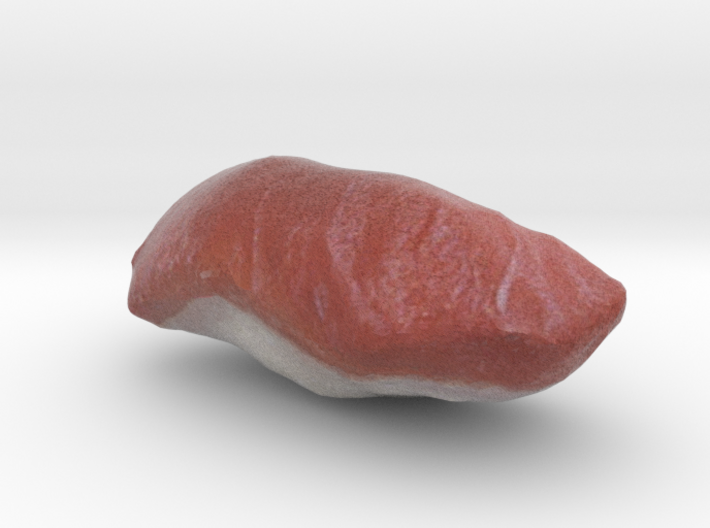 The Sushi of Tuna 3d printed