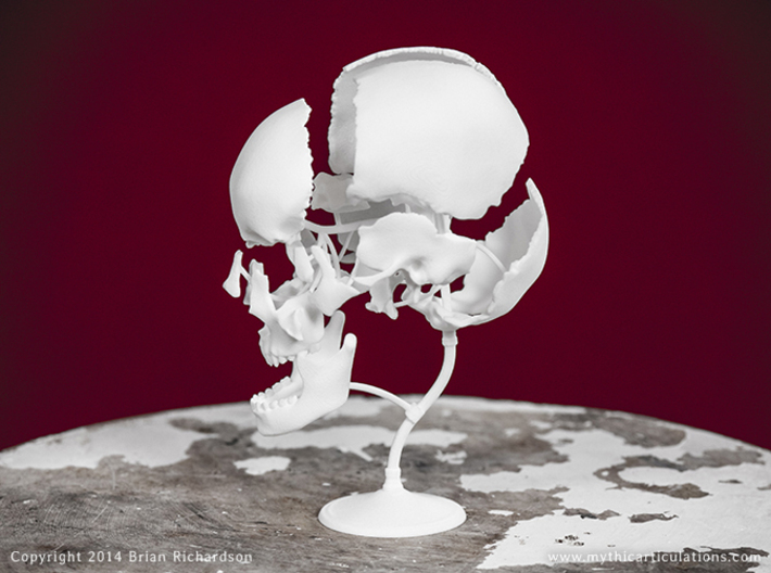 Beauchene Skull 3d printed 