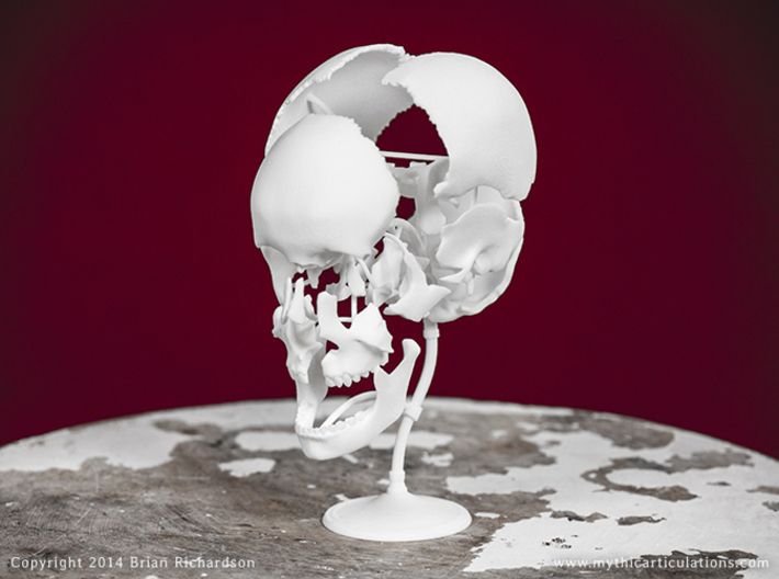 Beauchene Skull 3d printed