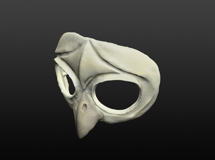 Owl Mask 3d printed 