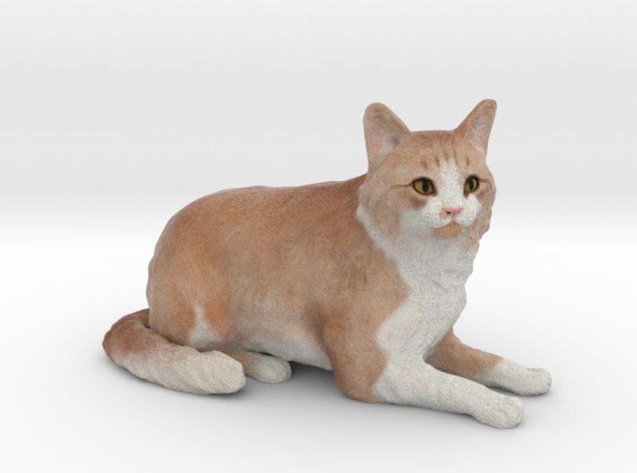 Custom Cat Figurine - Jupiter 3d printed