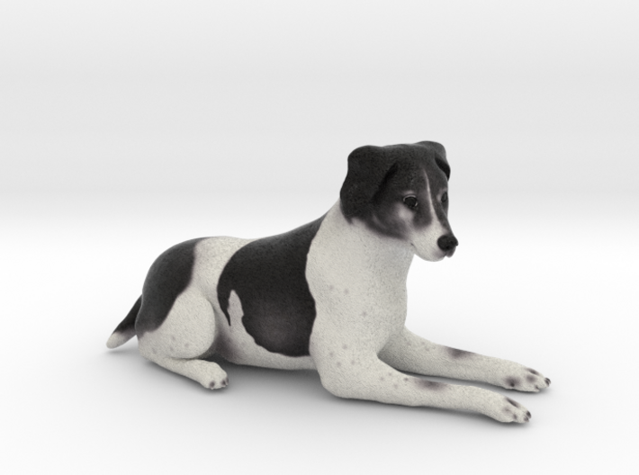 Custom Dog Figurine - Tippy 3d printed