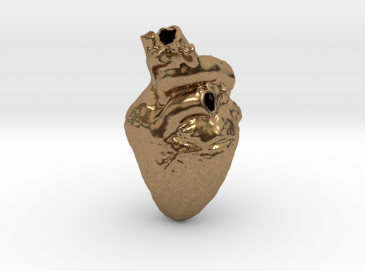 Real Anatomical Heart Hollow 3d printed