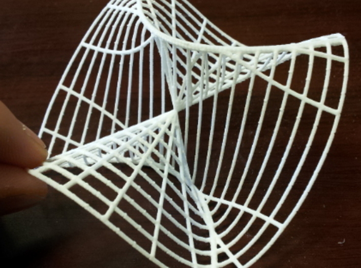 Noncontinuous Function of two variables 3d printed