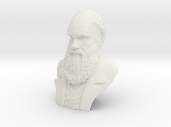 Charles Darwin 12&quot; Bust 3d printed