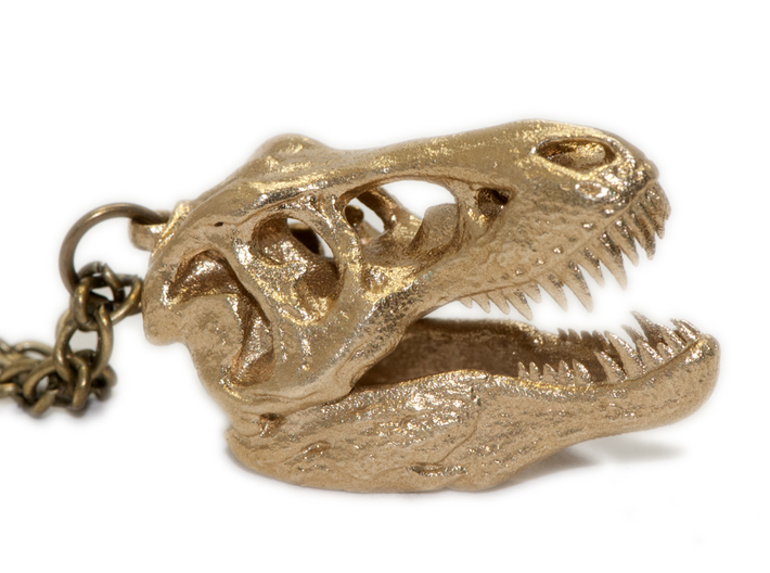 Tyrannosaurus Rex Skull 35mm 3d printed