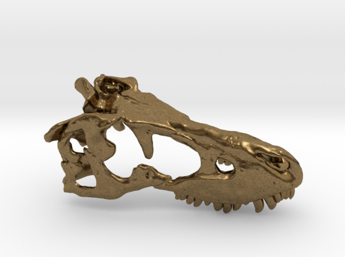 Tarbosaurus Skull 30mm 3d printed