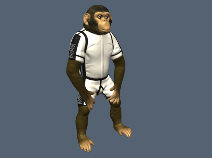 &quot;HAM&quot; Chimp Mercury Astronaut (Figure 130mm) 3d printed