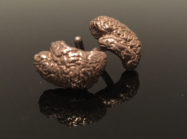 Brain Cufflinks (Two Hemispheres) 3d printed These cufflinks are made from scans of our designer's brain! Standard cufflinks are from FreeSurfer brain.