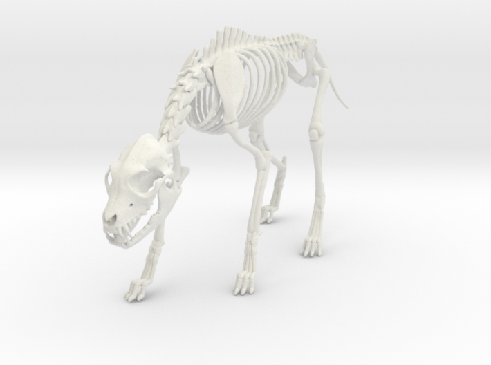 Black Shuck Skeleton 3d printed