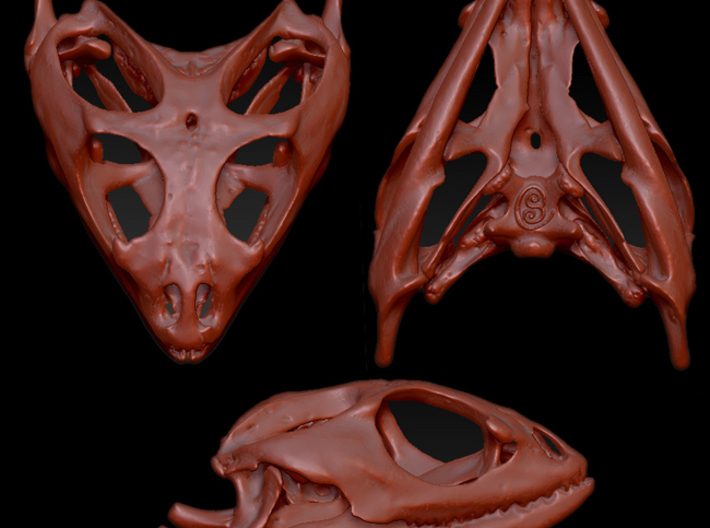 Bearded Dragon Skull  3d printed 