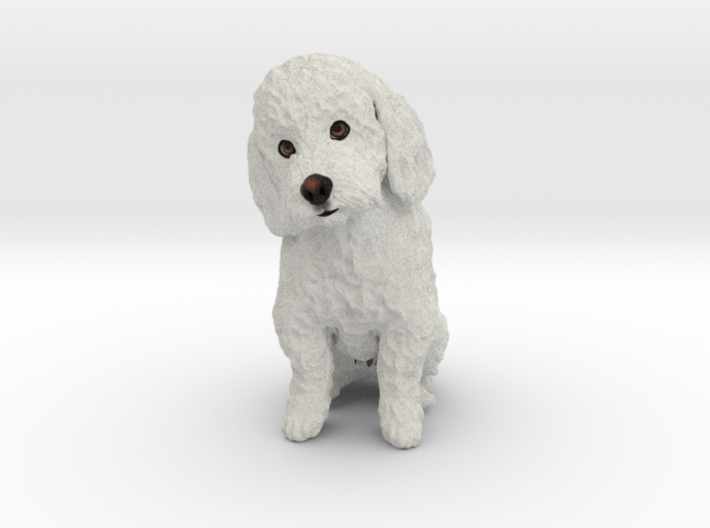 Custom Dog Figurine - Murphy 3d printed
