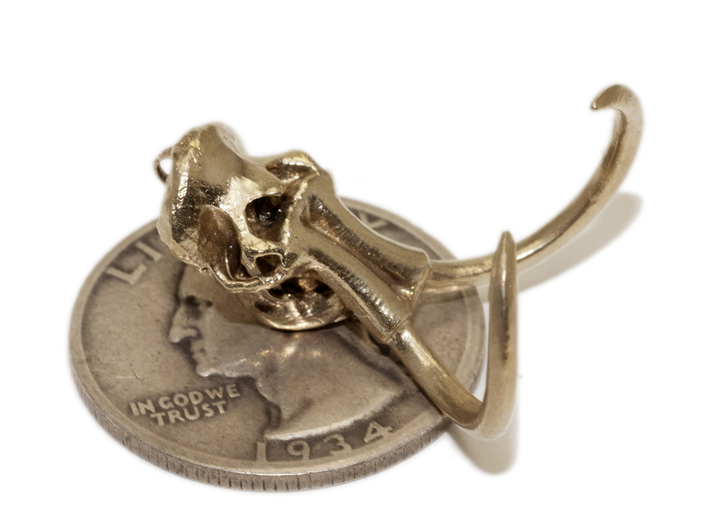 Woolly Mammoth Skull with loop 3d printed Brass Pendant