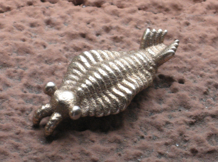 Anomalocaris 3d printed Stainless steel print