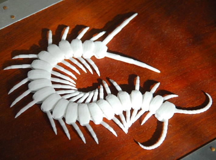 Articulated Centipede (Scolopendra sp.) 3d printed 