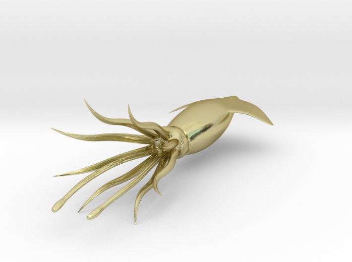 Squid-3D 3d printed