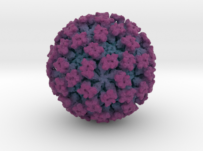 Feline Calicivirus radial colour 4M x mag 3d printed