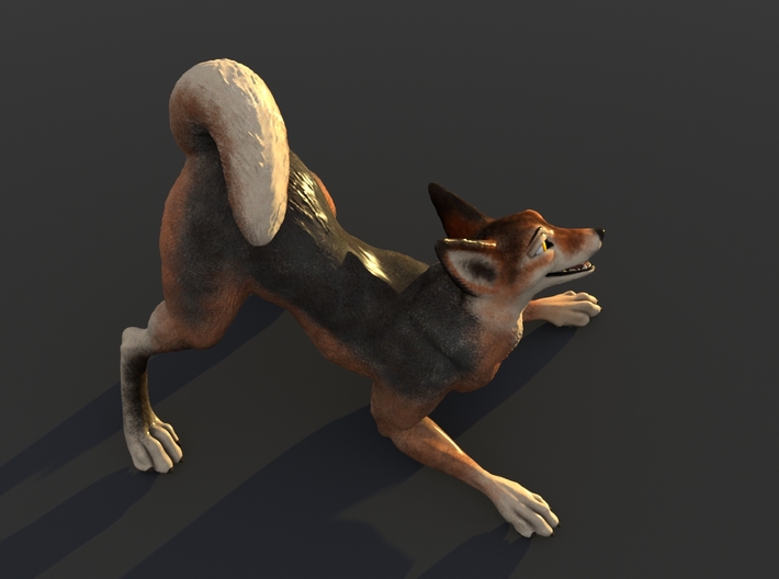 Playful Wolf 3d printed 