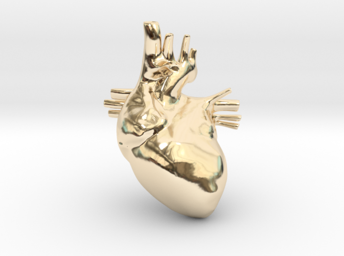 Anatomical Heart Hanger Pendant 3d printed