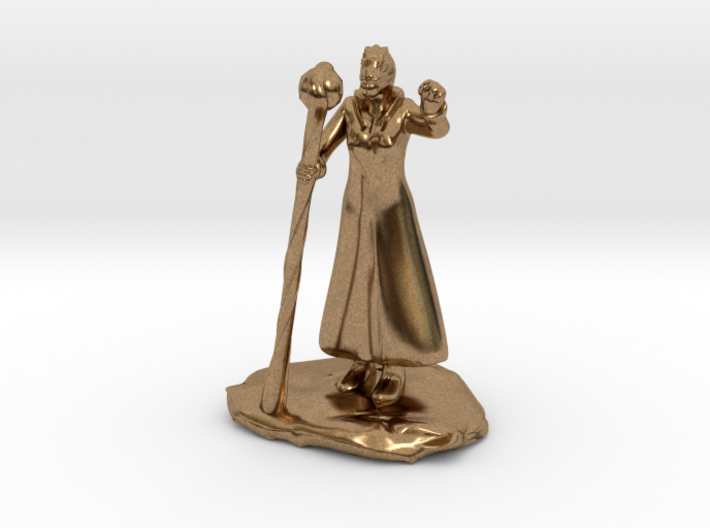 Female Dragonborn Wizard in Robe with Staff 3d printed