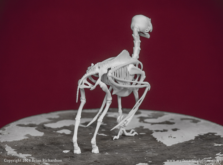 Hippogriff Skeleton 3d printed 