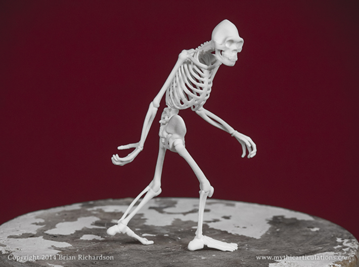 Sasquatch Skeleton 3d printed