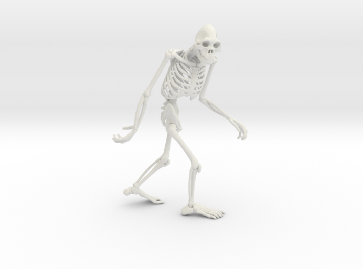 Sasquatch Skeleton 3d printed 