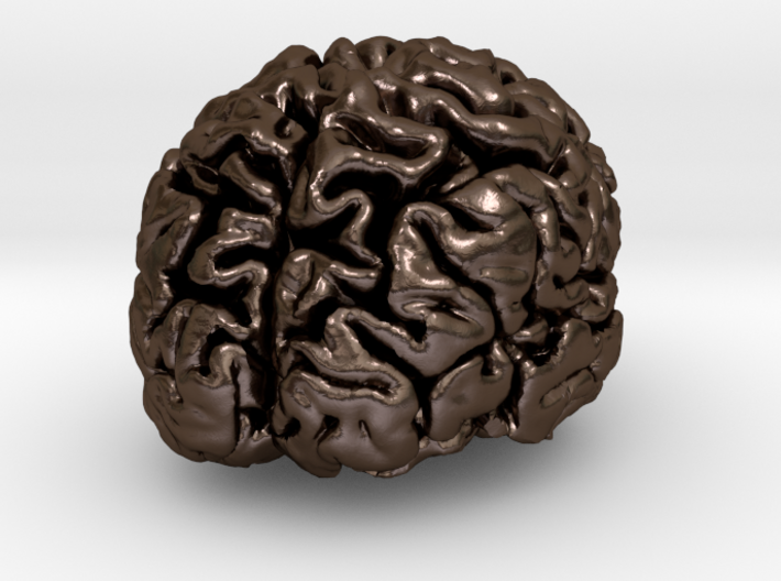 Precious metal brain pendant from MRI scan 3d printed 