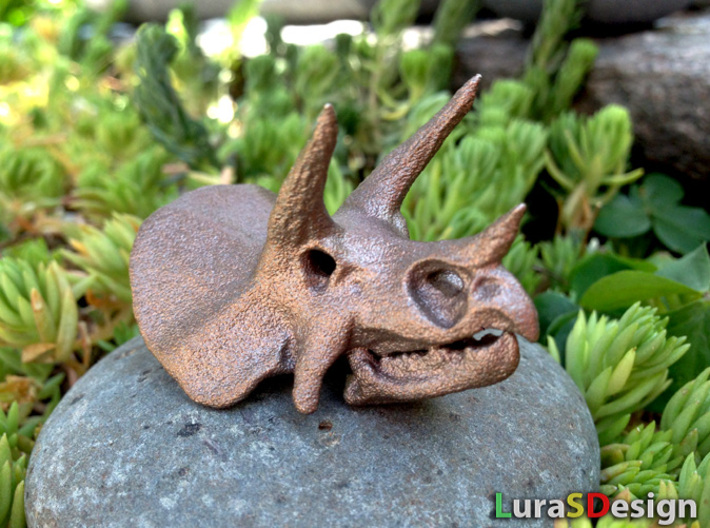 Triceratops Dinosaur Skull Pendant 3d printed older version Bronze Steel print