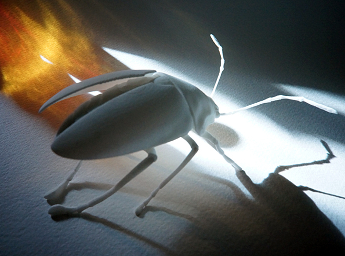 beetle v4 3d printed 