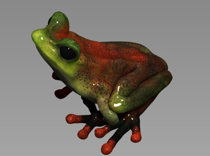 Tree Frog 3.6cm 3d printed by Eric Thorsen