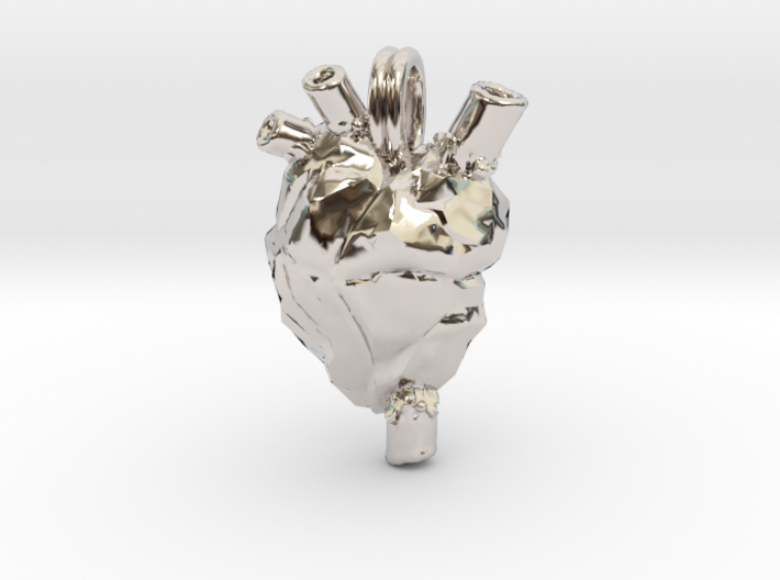 Anatomical Heart Jewelry Necklace 3d printed