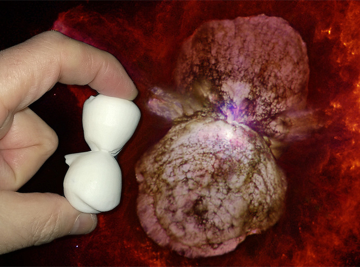 Homunculus Nebula, 20mm long 3d printed Model Homunculus Nebula (60mm, white strong & flexible material shown) compared to the real thing. 