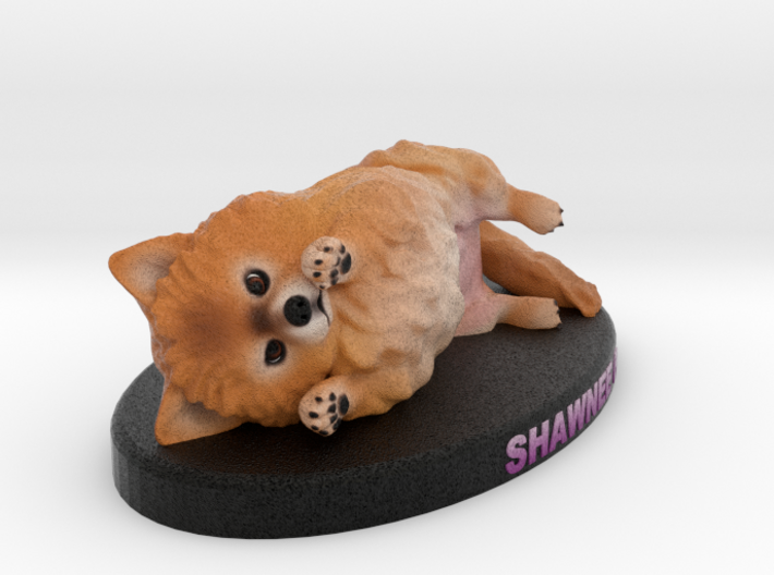 Custom Dog Figurine - Shawnee 3d printed